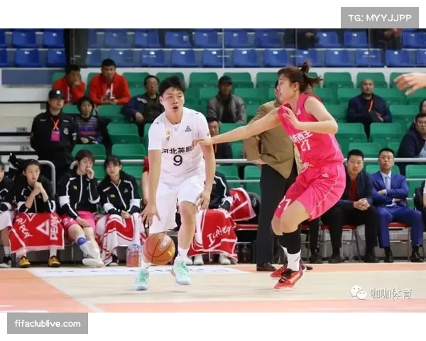 山东女篮主场攻防表现提升 内外线结合战术效果显著